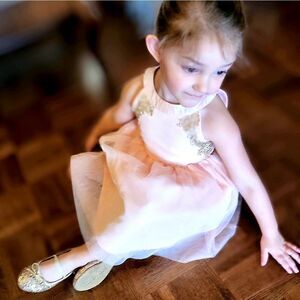 NWT Little Angels Ballet Inspired Gown Pink Embroidered Tulle Dress